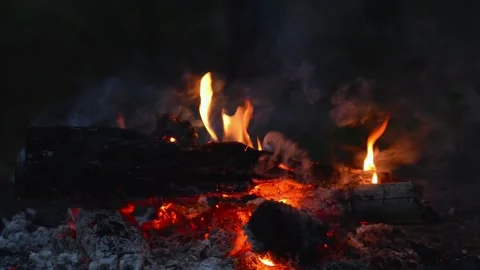 Seamless Looping Video of Bonfire Flames and Glowing Wood Stock Footage 344746455