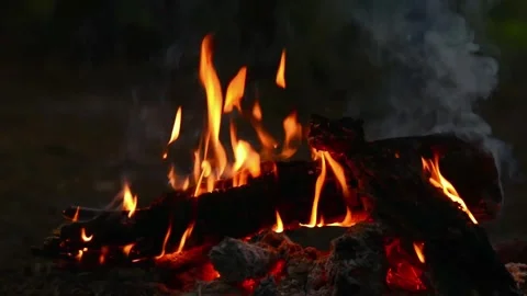 Seamless Looping Video of Bright Campfire Flames and Wood Stock-Footage 344746456