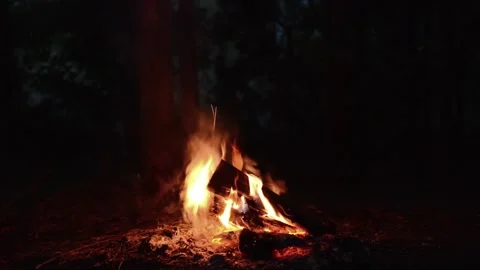 Seamless Looping Video of Burning Firewood and Campfire Flames Stock Footage 344746463