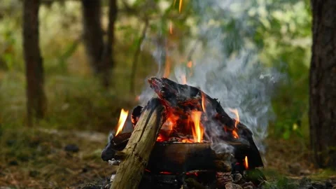 Seamless Looping Video of Campfire Flames and Firewood Stock Footage 344746457