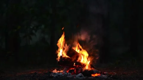 Seamless Looping Video of Campfire Flames and Firewood Logs Stock-Footage 344746466