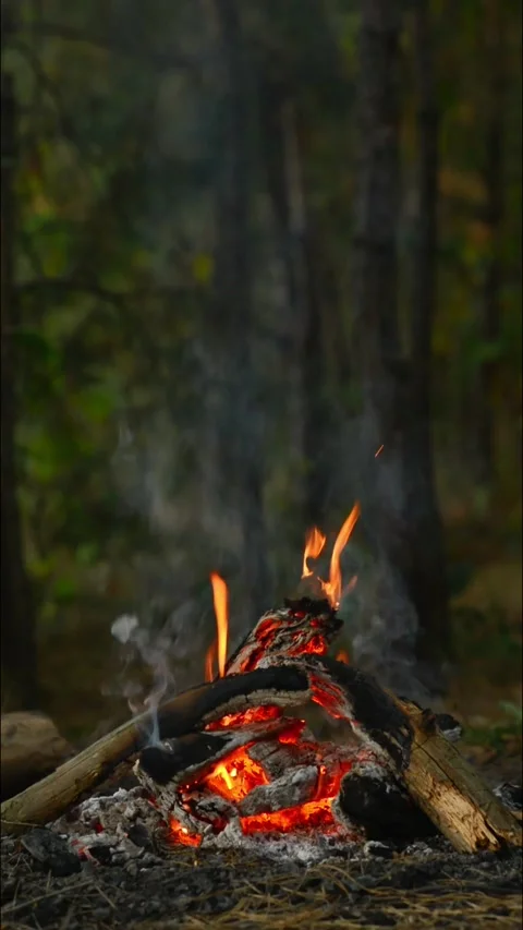 Seamless Looping Video of Campfire Flames in Forest. Stock Footage 344746514