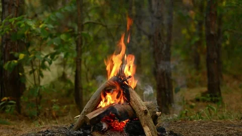 Seamless Looping Video of Campfire Warmth and Audio Stockbeeldmateriaal 344746491