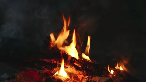 Seamless Looping Video of Cozy Bonfire and Burning Logs Stock-Footage 344746481