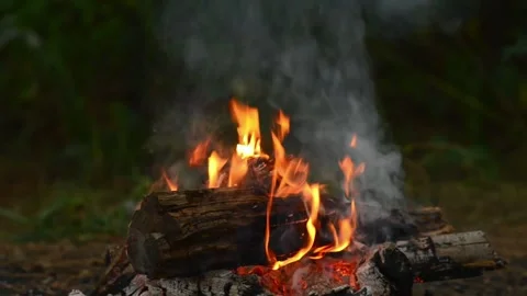 Seamless Looping Video of Natural Campfire and Burning Logs Video stock 344746464