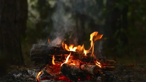Seamless Looping Video of Wood Fire and Glowing Embers 库存影片 344746478