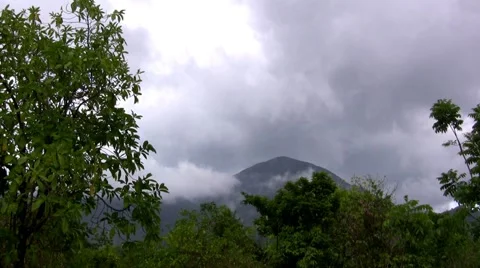 (Seamless Looping) Viewing the Mountain Top With Birds Chirping Stock Footage 44099498