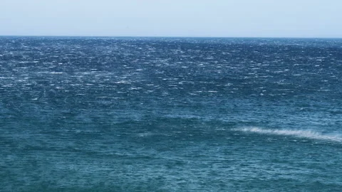 Seamless looping water surface and horizon on a windy day Stock Footage 202746630