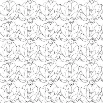 Seamless Lotus background Stock Illustration