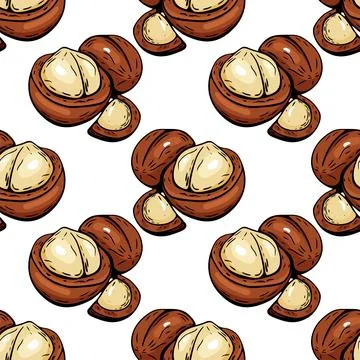 Seamless macadamia nut pattern in colorful hand drawn style Stock Illustration