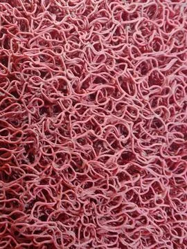 Seamless Macro Texture of Red Plush Carpet Foto stock