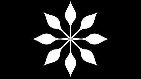 Seamless mandala loop animation, black and white background loop animation. Stock Footage 232062478