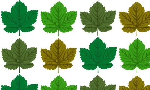 Seamless with maple leaves Stock Illustration
