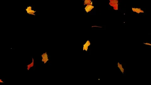 Seamless Maples Falling Leaves Loop Animation Stock Footage 334712230