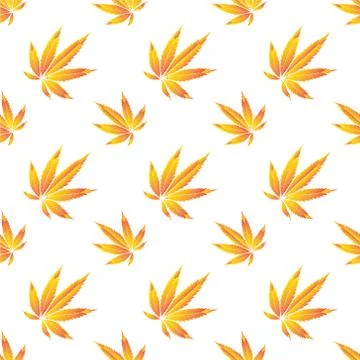 Seamless marijuana pattern, Vector illustration. Stock Illustration