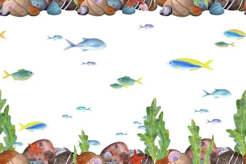 Seamless marine pattern on a white background. Sea stones, algae, fish, shells Illustrazione stock