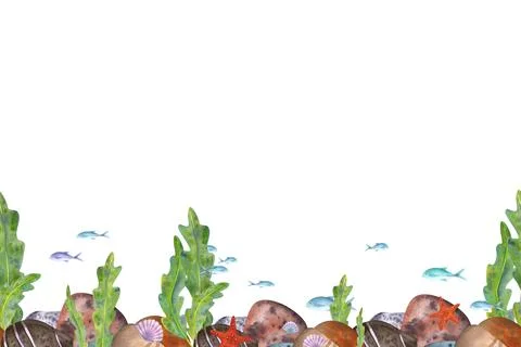 Seamless marine pattern on a white background. Sea stones, algae, fish, shells Stockillustratie