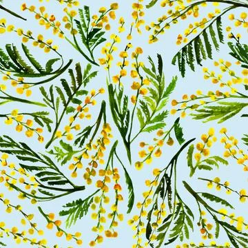 Seamless mimosa pattern watercolor spring Stock Illustration