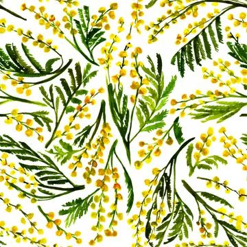 Seamless mimosa pattern watercolor spring Stock Illustration