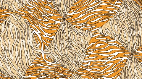 Seamless modern animation of zebra pattern in comic style and orange Stock Footage 135002210