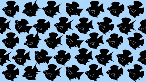Seamless molly fish animation Stock-Footage 314295479