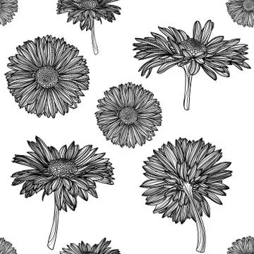 Seamless monochrome floral pattern with chamomile. 스톡 일러스트