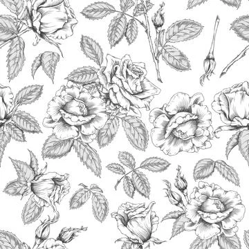 A seamless monochrome pattern with hand-sketched vintage roses, buds, and leaves 스톡 일러스트