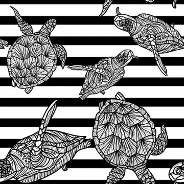 Seamless monochrome pattern with turtles and black stripes. Stock Illustration