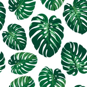 Seamless monstera palm leaves pattern for your summer background. Vector trop Stock Illustration