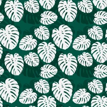 Seamless monstera palm leaves pattern for your summer background. Vector trop Illustrazione stock