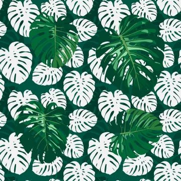 Seamless monstera palm leaves pattern for your summer background. Vector trop Stock Illustration