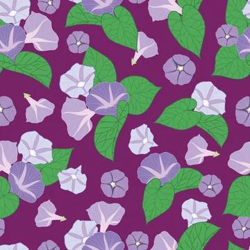 Seamless morning glory pattern on purple background Stock Illustration
