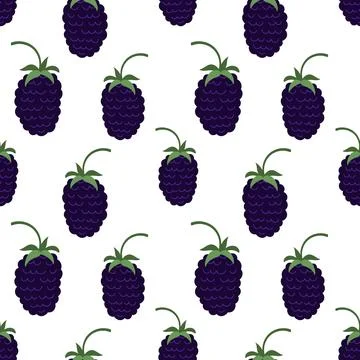 Seamless mulberry pattern on white background イラスト素材