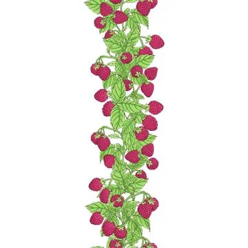 Seamless natural border Illustrazione stock