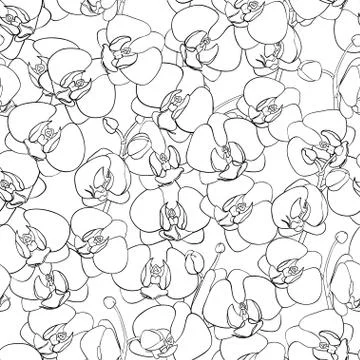 Seamless natural pattern Illustrazione stock