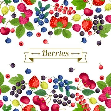 Seamless nature pattern with berries. 스톡 일러스트