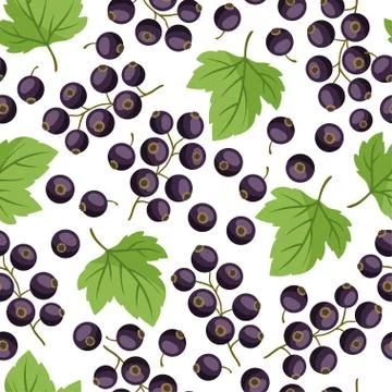Seamless nature pattern with black currants. Stock Illustration