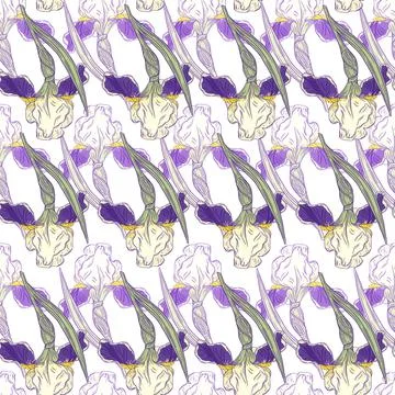 Seamless nature pattern with decorative purple iris flowers shapes. Isolated  Stock Illustration