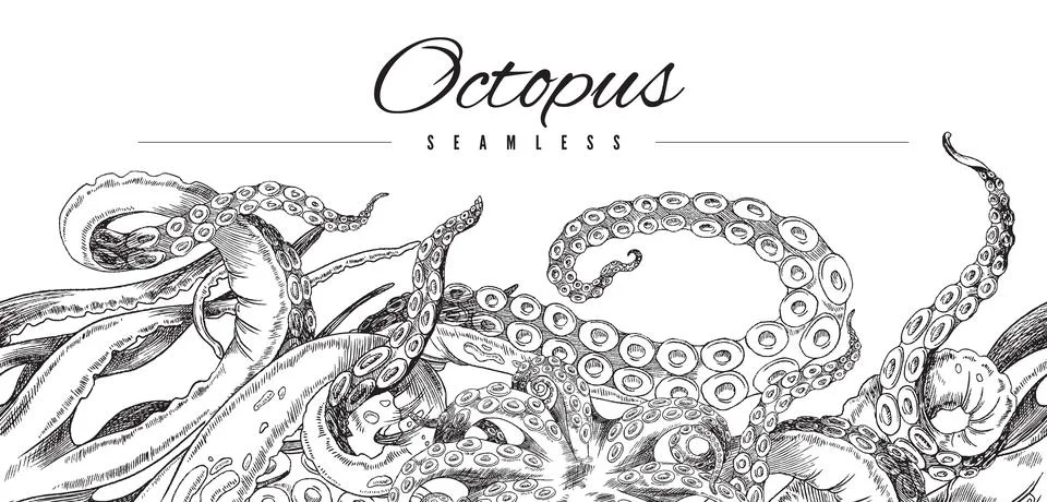 Seamless octopus pattern. Horizontal border, black and white hand drawn Stock Illustration