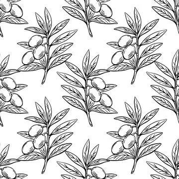 Seamless olive branch engraving pattern in Mediterranean sketch style Stock Illustration