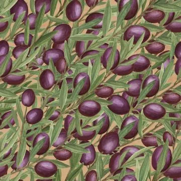 Seamless olive pattern, watercolour illustration Stock Illustration