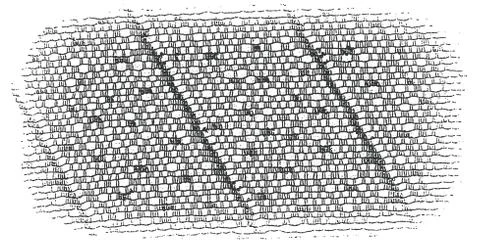 Seamless Organic Pattern Stock Photos