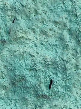 Seamless painted mint concrete wall texture cracked stucco background Stock Photos