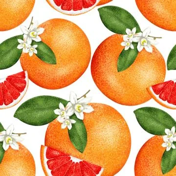 Seamless paints grapefruit pattern on white background. For textiles and fabr Stock Illustration