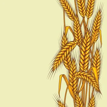 Seamless pattern abstract with wheat Stock Illustration