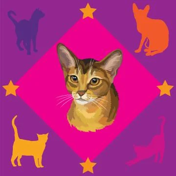 Seamless Pattern with Abyssinian Cat Stock Illustration