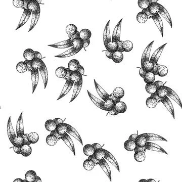 Seamless pattern acai fruit food sketch hand drawn Stock Illustration