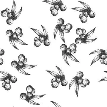 Seamless pattern acai raw food sketch hand drawn Stock Illustration