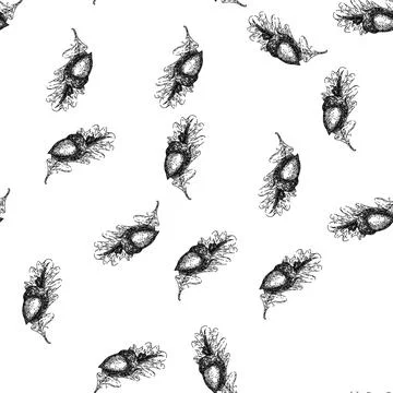 Seamless pattern acorn nut leaf sketch hand drawn Stock Illustration