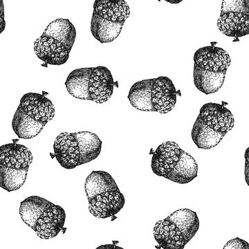 Seamless pattern acorn nut seed sketch hand drawn 스톡 일러스트